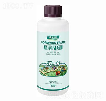 �Ҹ��}�V��-�S�A��-�S�A�ʘI(y��)