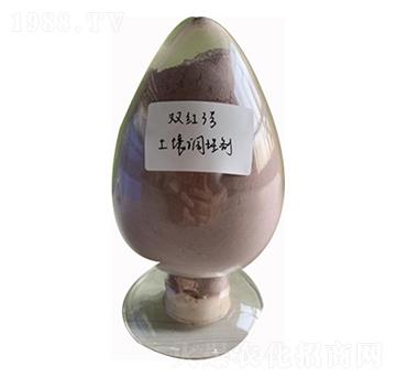 �����{�턩-�p�t3̖-�p�t�r(n��ng)��