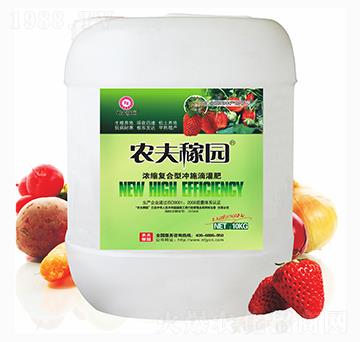 ��s��(f��)���͛_ʩ�ι��-