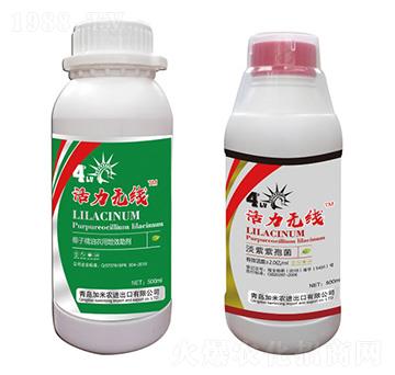 �������߾�+��Ч����-�����o(w��)��-�����r(n��ng)