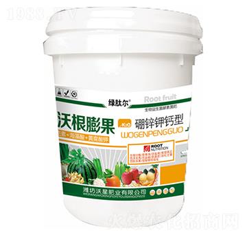 �ָ�������\��}��-��