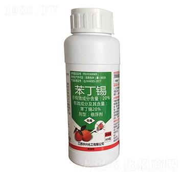 20%�����a��400�ˣ�-�A�d����