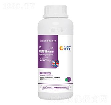 �Ǵ����p���ϣ�-�W����