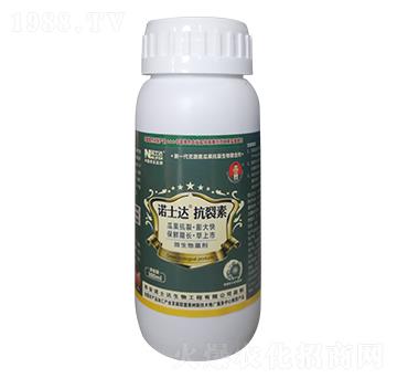 ������-�Zʿ�_(d��)