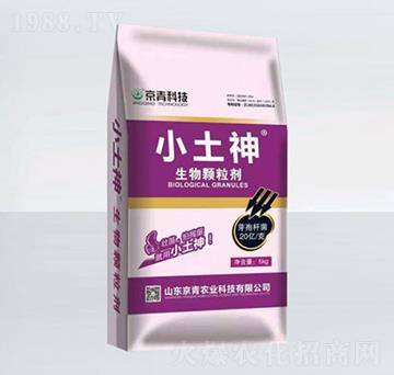 С���������w����-����Ƽ�