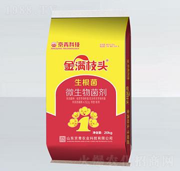 ������΢�������-��M֦�^-����Ƽ�