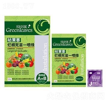 ���Sή��������һ���G-ʥ�ϝ�(r��n)