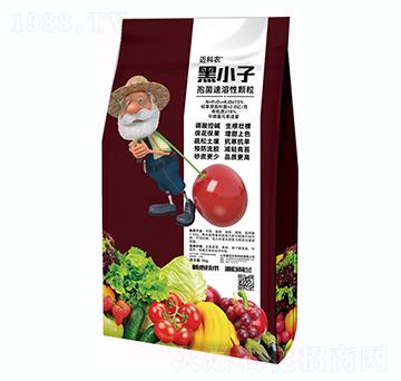 ��С�ӡ��߾��������w��-�~���r(n��ng)-�Έ�����