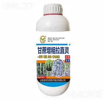 ����������ֱ�`-��(zh��n)܇