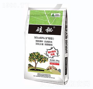 ���صV����-����ʘI(y��)