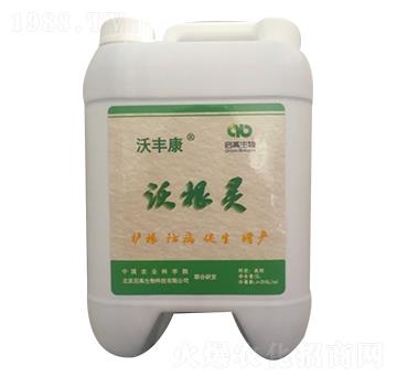 �ָ��`-���S��-��������