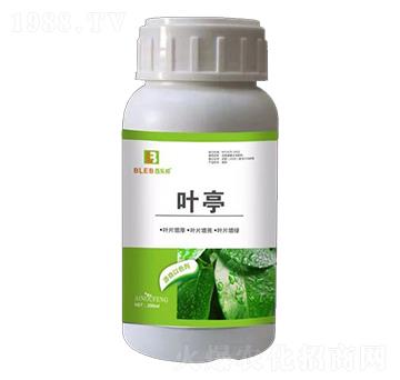 �~ͤ-�٘�(l��)��