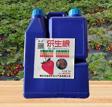 樂(lè)生根-金伯樂(lè)