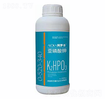 �������-�����_-�Ɲ��r(n��ng)��