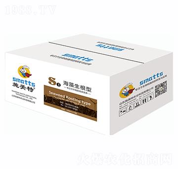 ����������S1-ʩ����