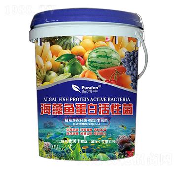 �����~���׻��Ծ�-�՝�(r��n)�S