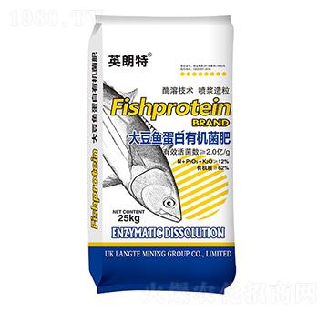 �󶹵����ЙC����-Ӣ����