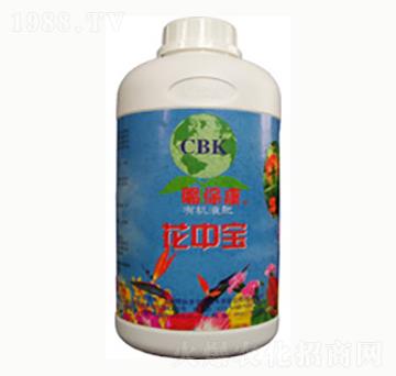 ���Ќ�-�n����