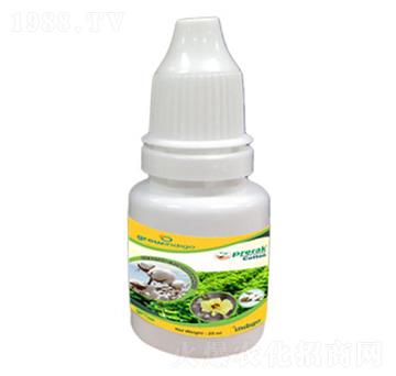 Prerak Cotton-�ָ���