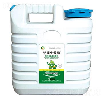 �}�V���Lø-��Ԫ