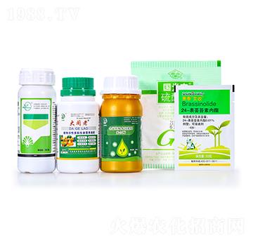 �������ײͽM��-���w��-�r���Z