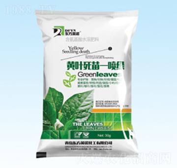 �S�~����һ���G-�|��Ӣ�Z