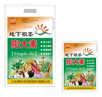 ���¸��o�����-�����