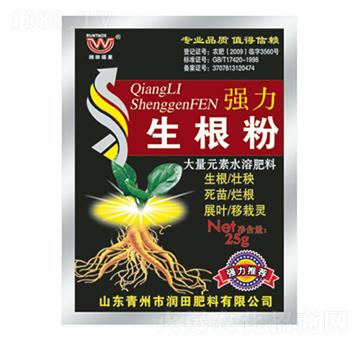 ����������-�������