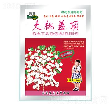 �����w�-�������