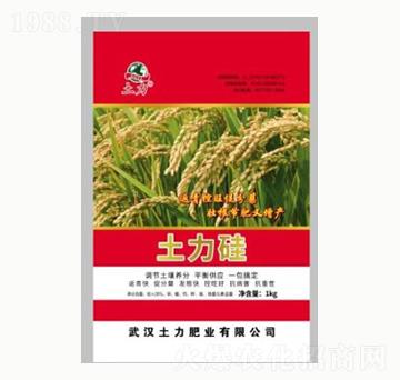 �������-�����ʘI(y��)