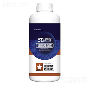 ����������-��ֲ-���w�~��