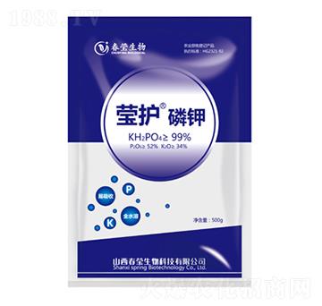 ���o���-��������