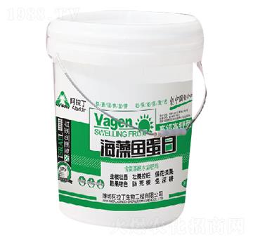 海藻魚蛋白-阿拉丁