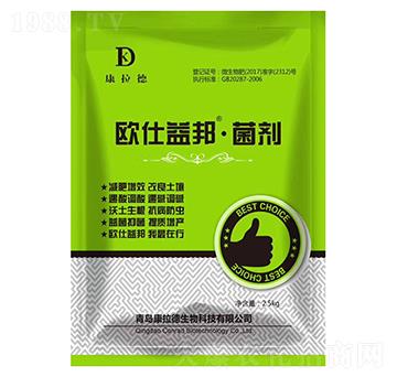 ΢�������-�W�����-������