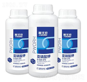 �������-������