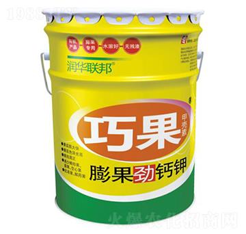 ������}�-�ɹ�-���A��