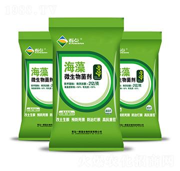 ����΢�������-���c