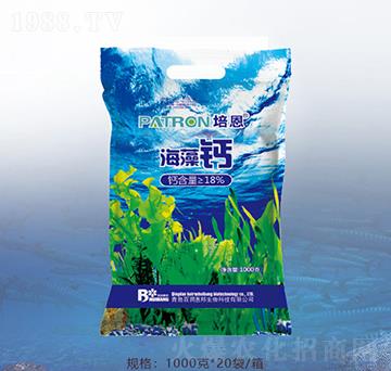 1000�˺����}-�ٝ�(r��n)�ݰ�