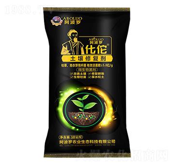 �����ޏ̈́�-�����_��٢