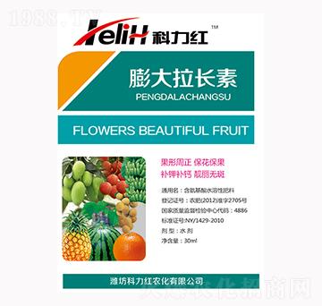 ������L(zh��ng)��-�����t-��������