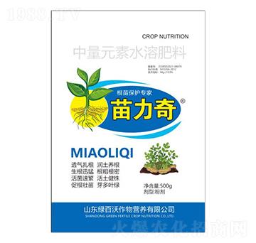 ���籣�o����-������-�G����