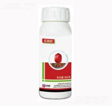 ��ϲ��N����-������