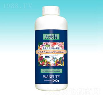 1000g�~������Ȼø