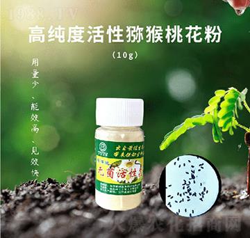 獼猴桃無菌活性花粉-純花粉-彭邦生物