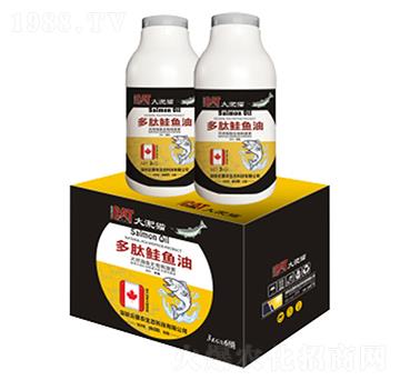 ����؈�����q�~��-�ƻ��r