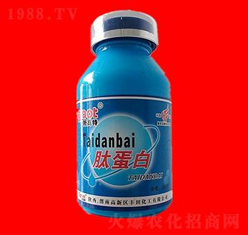 �ĵ���-˹����-���R�ʘI(y��)