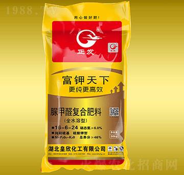 ���ȩ�ͺϷ���16-6-24-�������-����