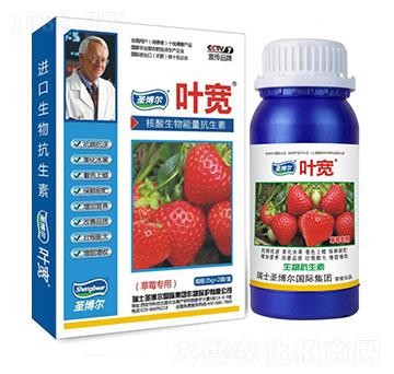草莓專用葉面肥-多糖生物酶誘抗肽-葉寬-圣博爾生物