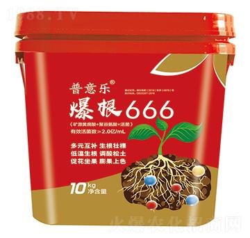 爆根666-普意樂-菲爾普斯