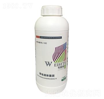寒地液體菌團-韋斯特-愷樂農(nóng)業(yè)